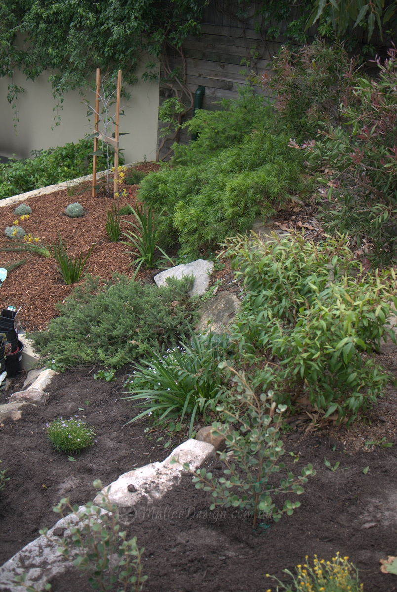 Win a FREE Garden Consultation!