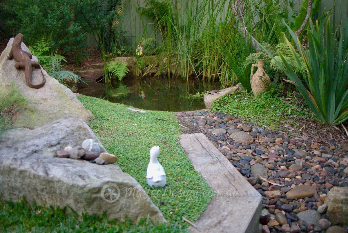Enticing Suburban Native Garden