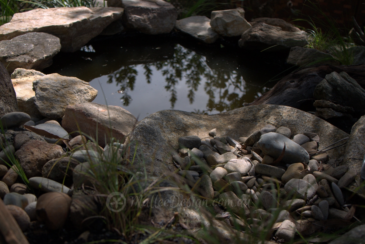 Portfolio: Heathcote Garden Design