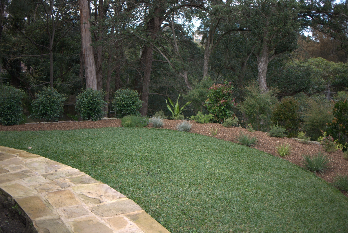 Portfolio: Crows Nest Garden Design