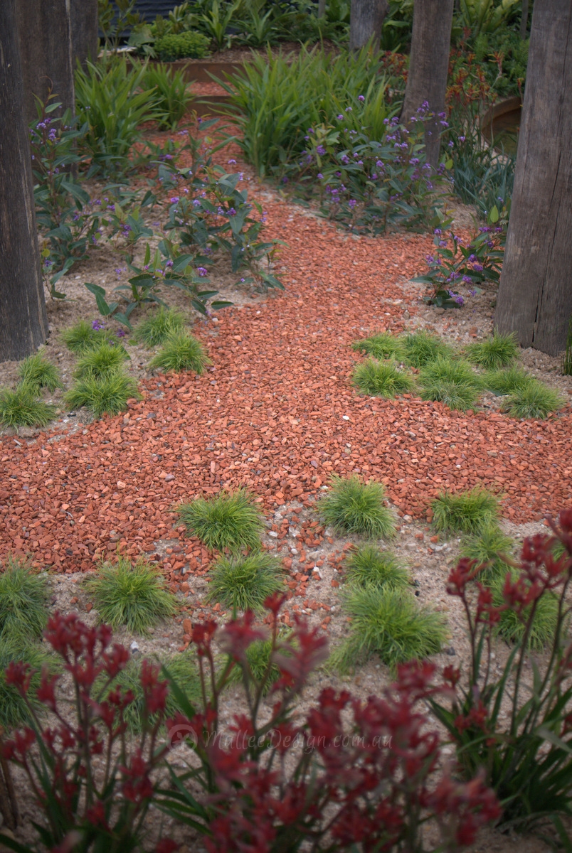 Native Plants at the Sydney Garden Show 2014