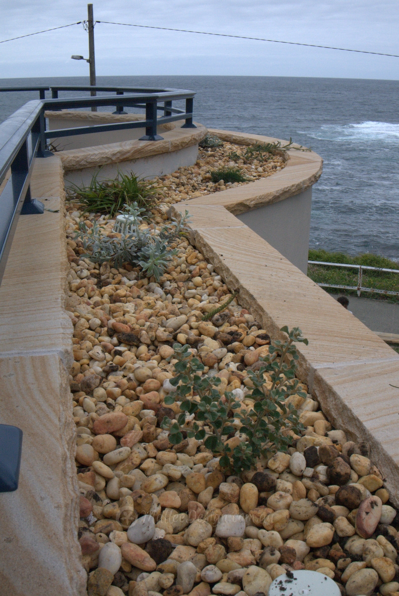 Real Front Line Coastal Natives