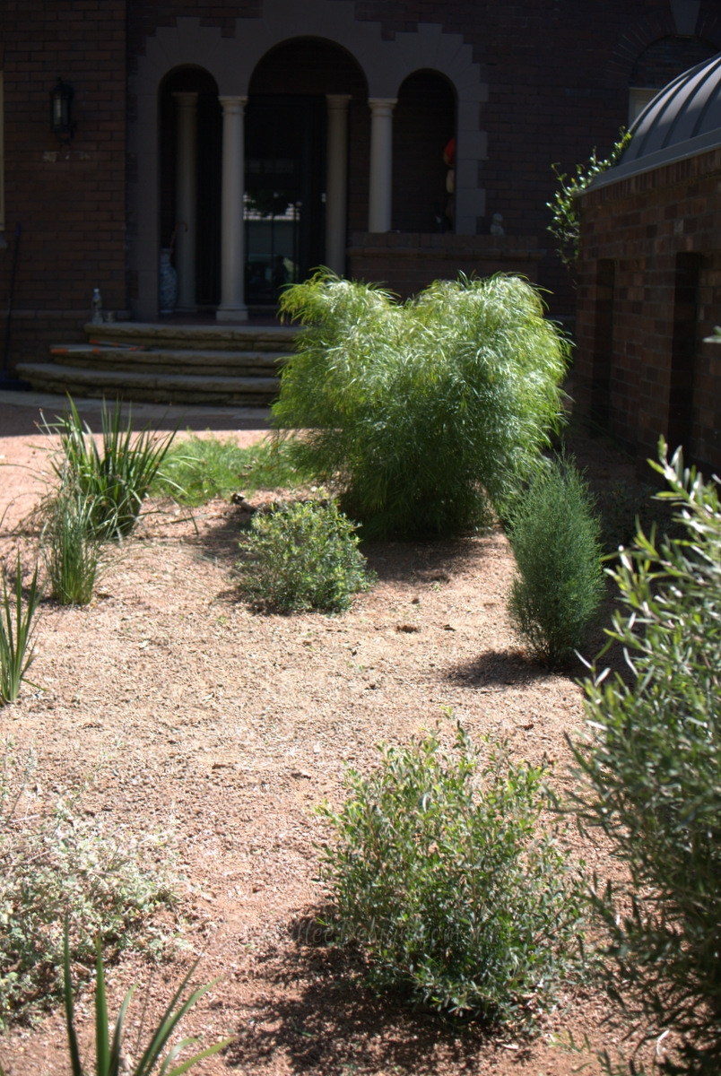 Portfolio: Centennial Park Garden Design