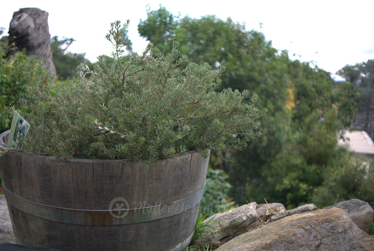 Portfolio: Connells Point Consults