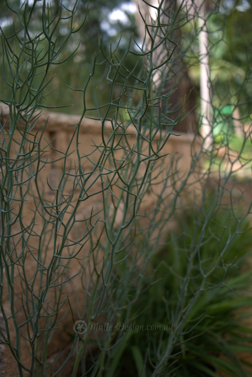 Portfolio: Gordon Garden Design