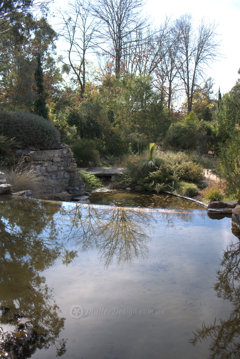 Walcott Garden: Canberra