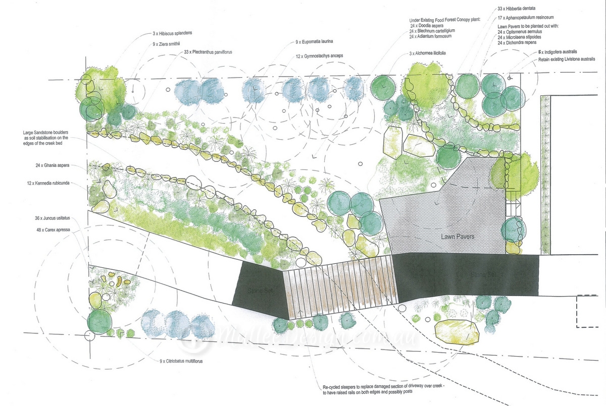 Mt Keira: Site specific local indigenous species