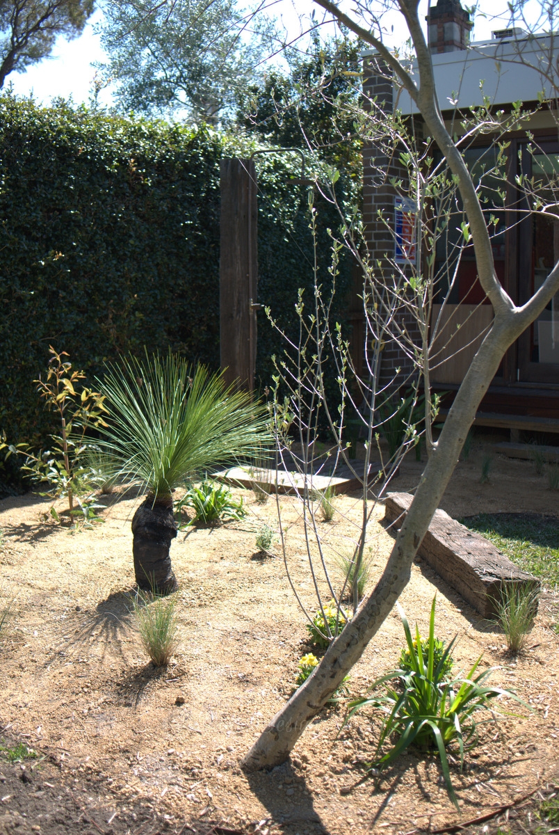 Portfolio: Marrickville Sketch Design