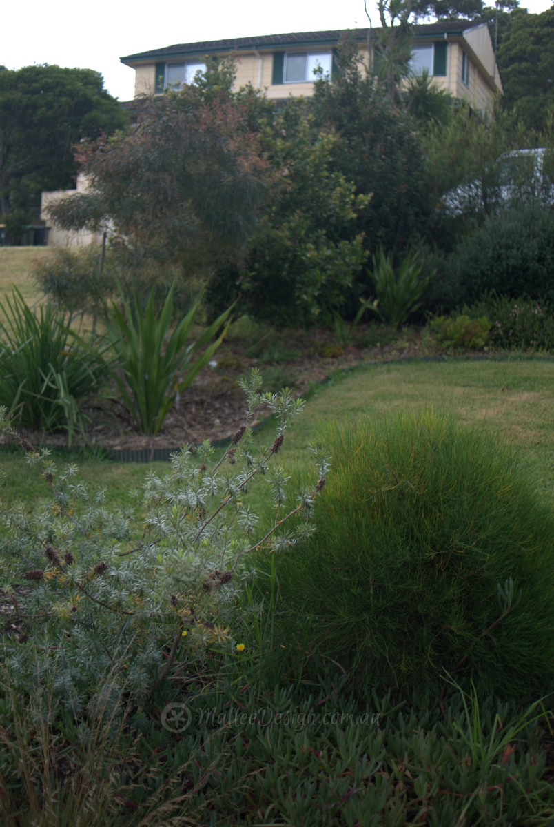 Portfolio: Coledale Consults