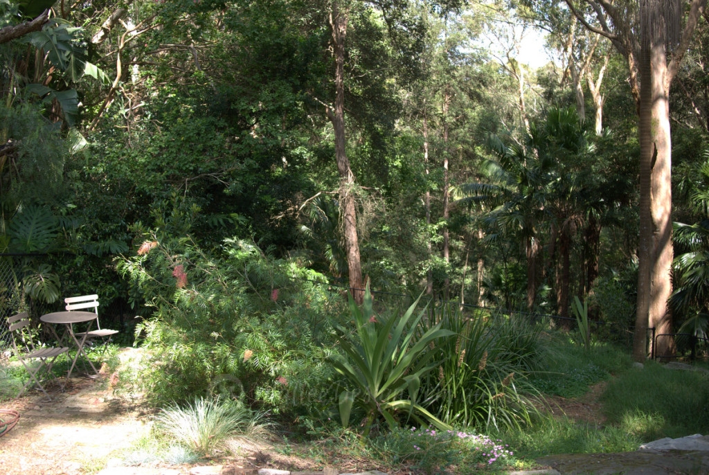 Portfolio: Garden Design Chatswood P1220968