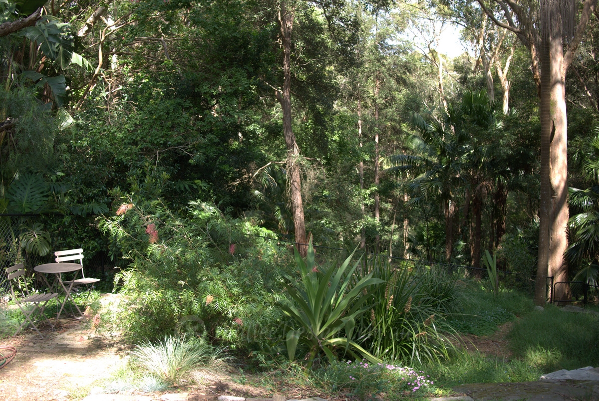 Portfolio: Garden Design Chatswood