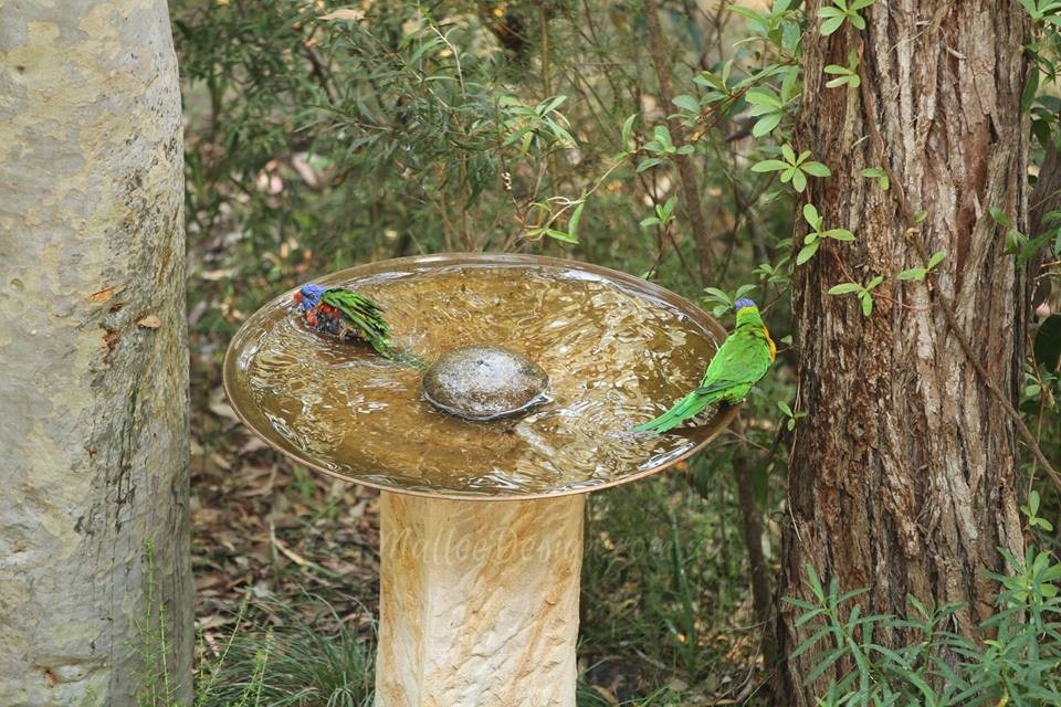 12814250_1079415485433272_8162559451660855176_n