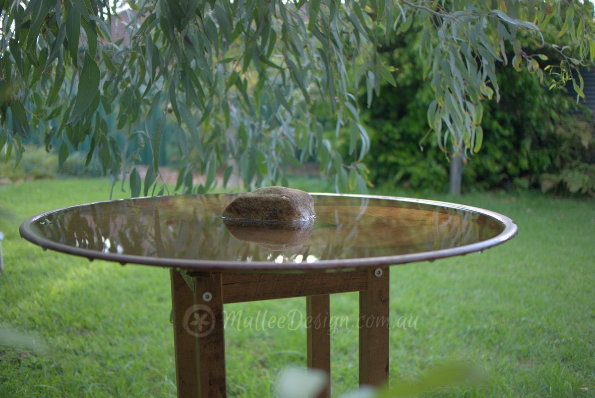 The Collectors Plant Fair 2016