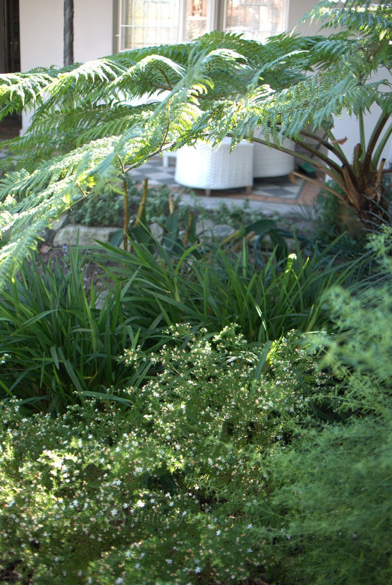 Portfolio: Glebe Re-visit