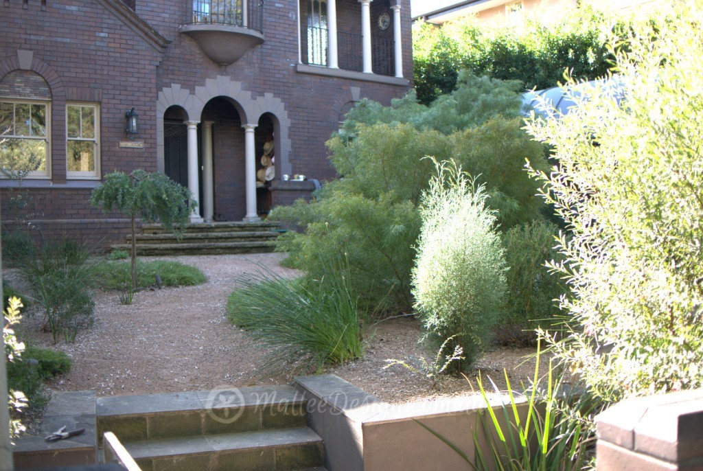 Portfolio: Garden Design Centennial Park Update P1250649