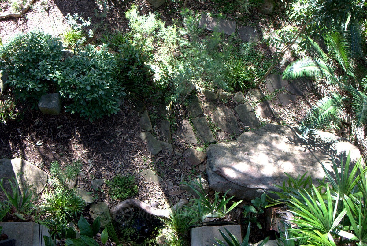 Portfolio: Garden Design Hunters Hill Update