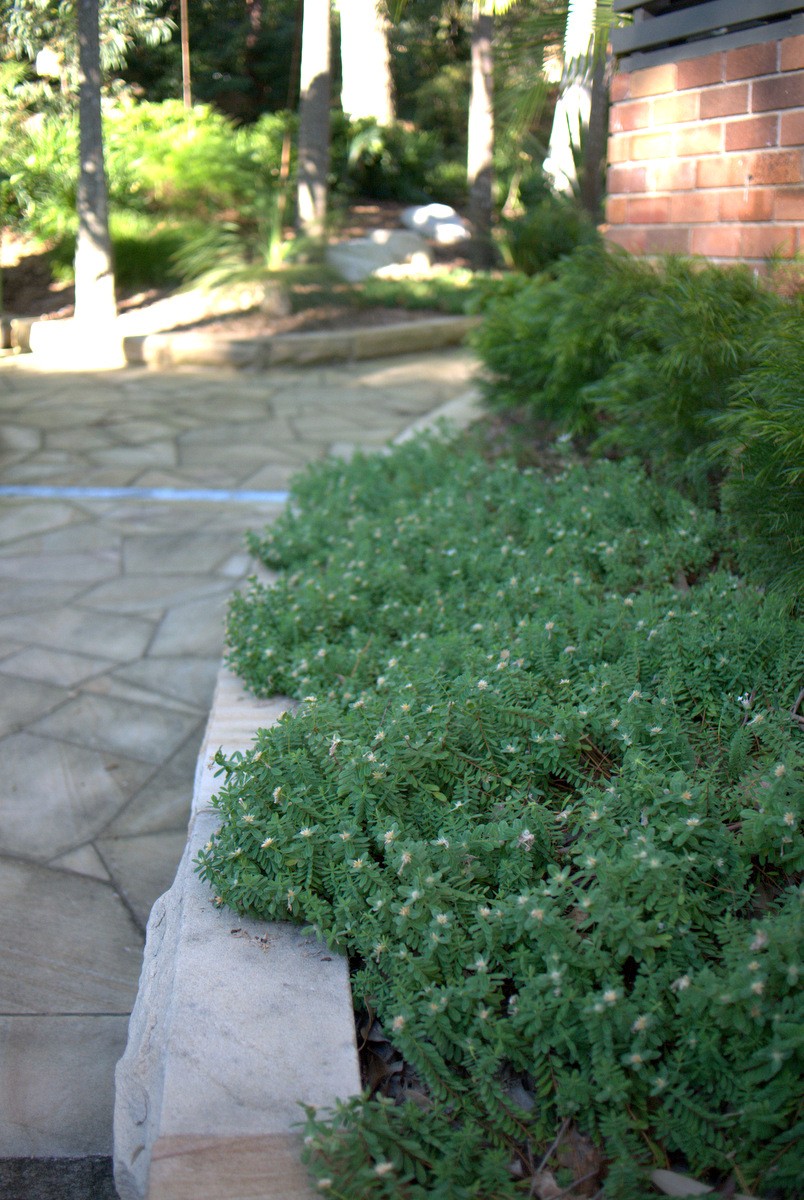 Portfolio: Garden Designs Gordon Update