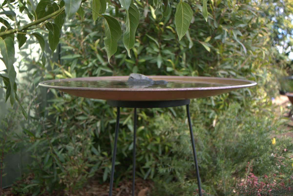 Floating Birdbath
