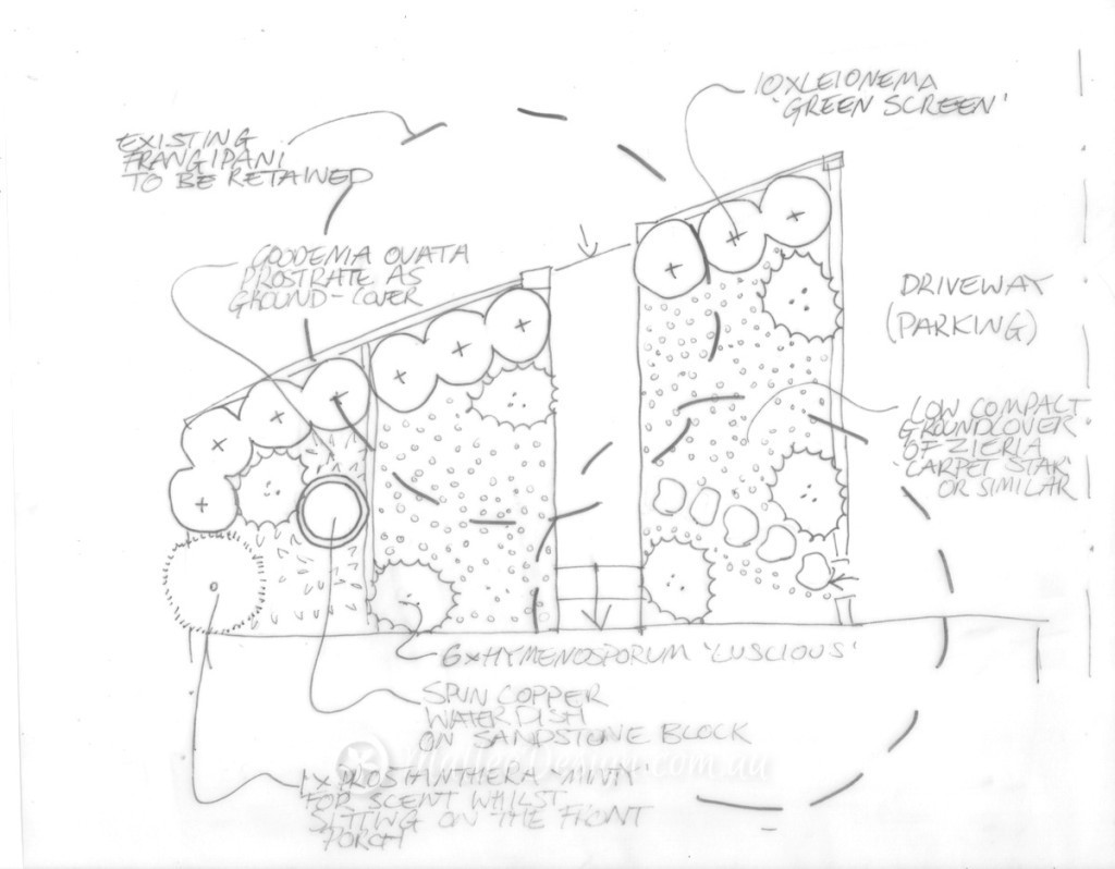 Ziggi-Bondi-frontSketch
