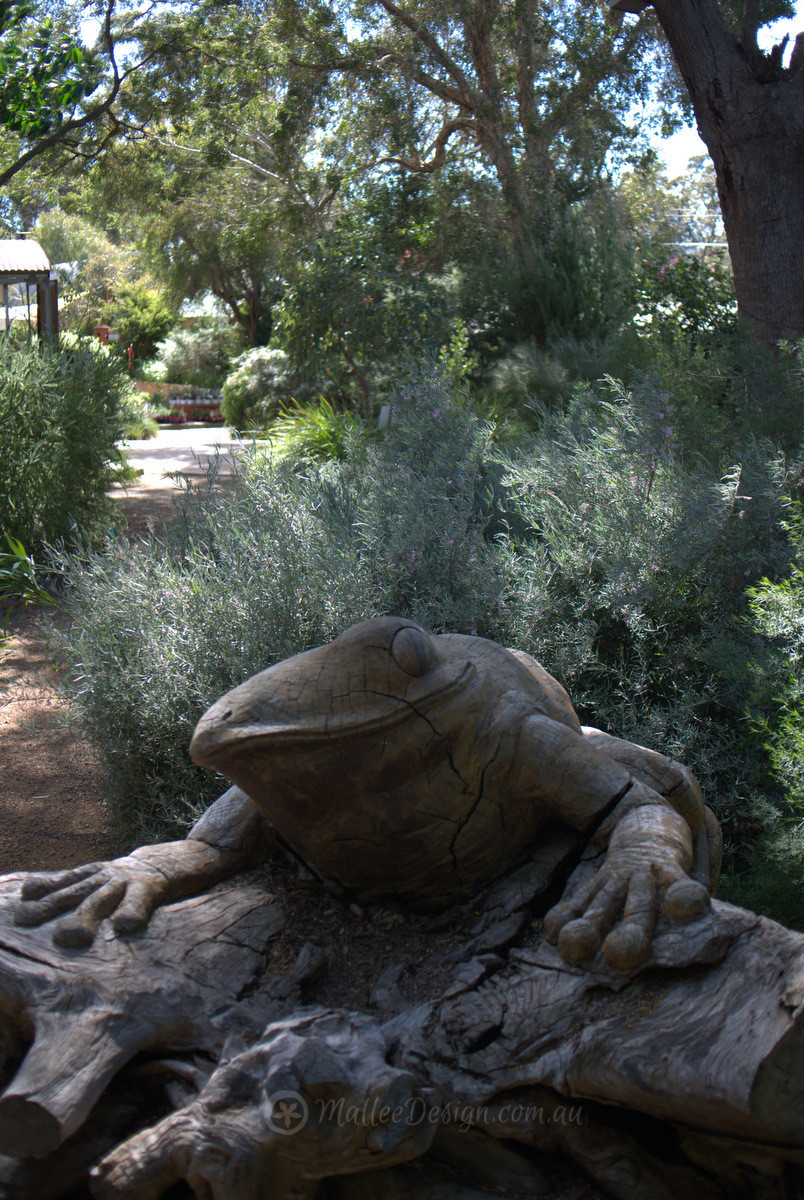 The Beautiful Gardens of Zanthorrea Nursery