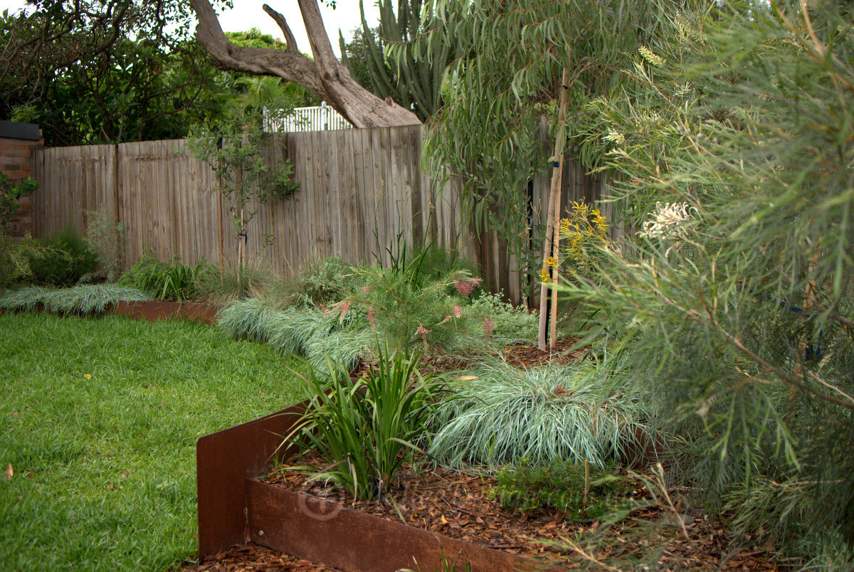 Portfolio: Garden Design Lewisham