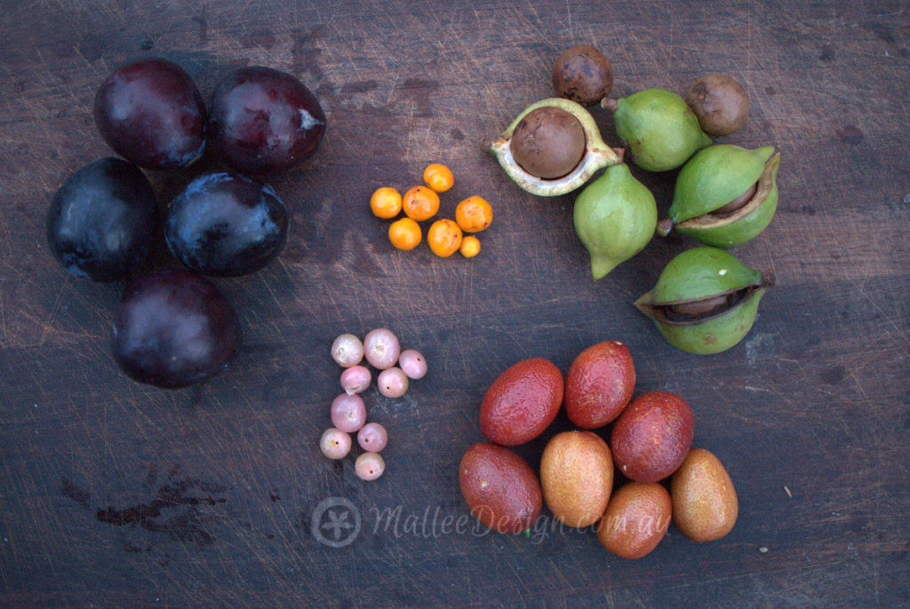 Autumn Bush Foods P1320934