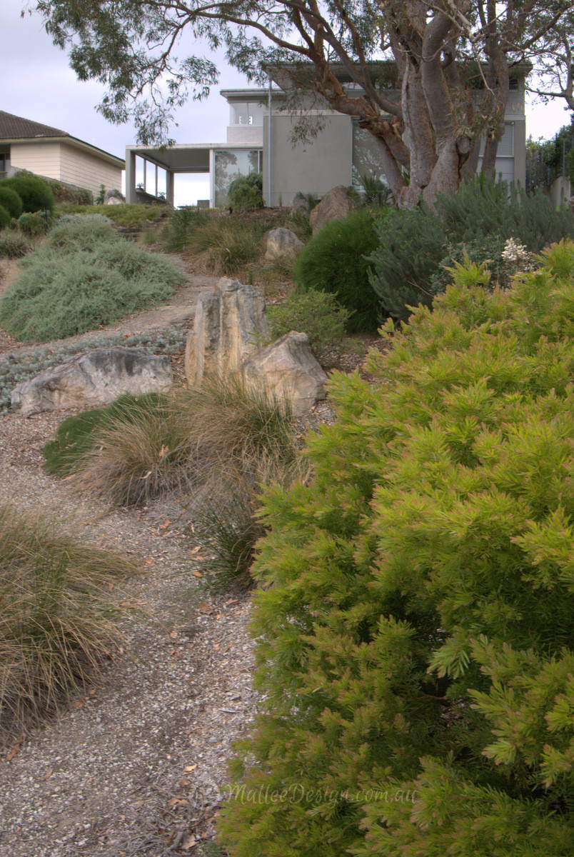 Portfolio: Bundeena Garden Design Revisit