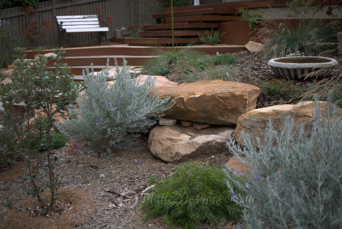 Portfolio: Garden Design West Wollongong