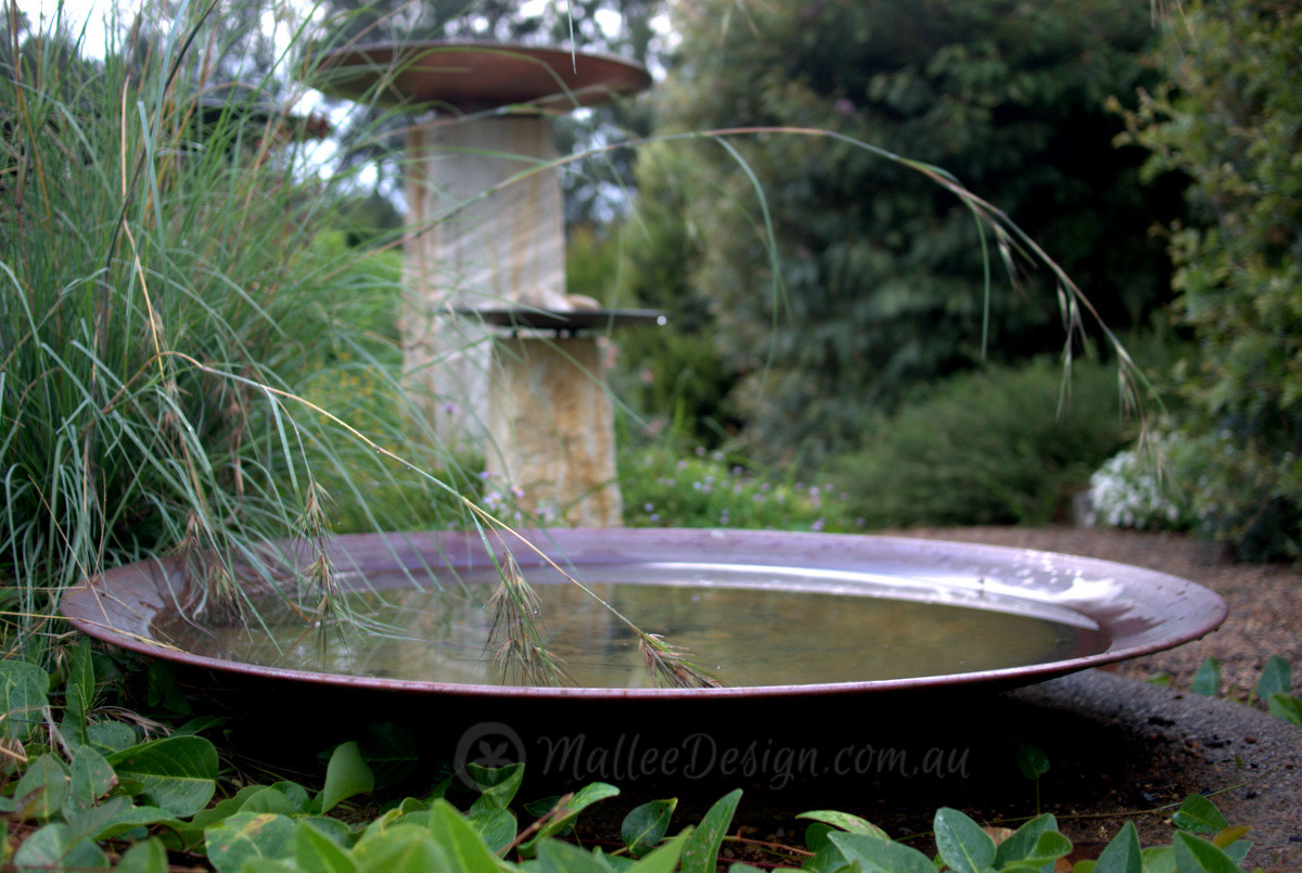 Mallee Specials @ Collectors Plant Fair 2018