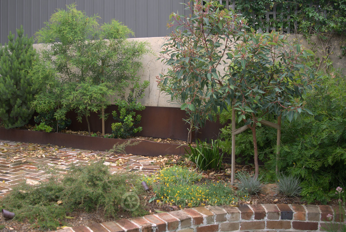 Happy little inner city garden: Leichhardt Garden Design