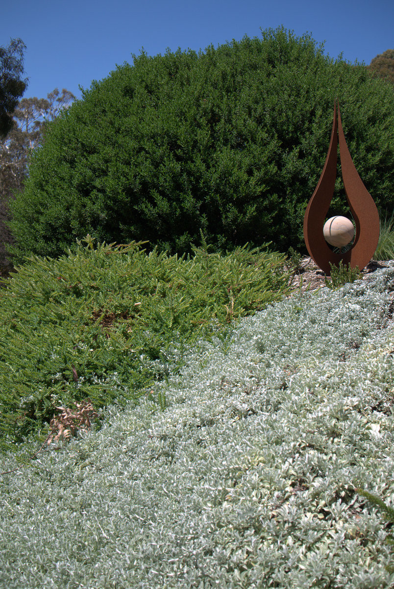 The display gardens of Austplant Nursery
