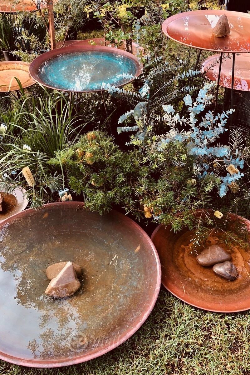 Which Birdbath should I choose?