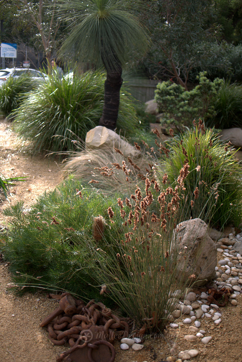 Potfolio: Ashfield Revisit