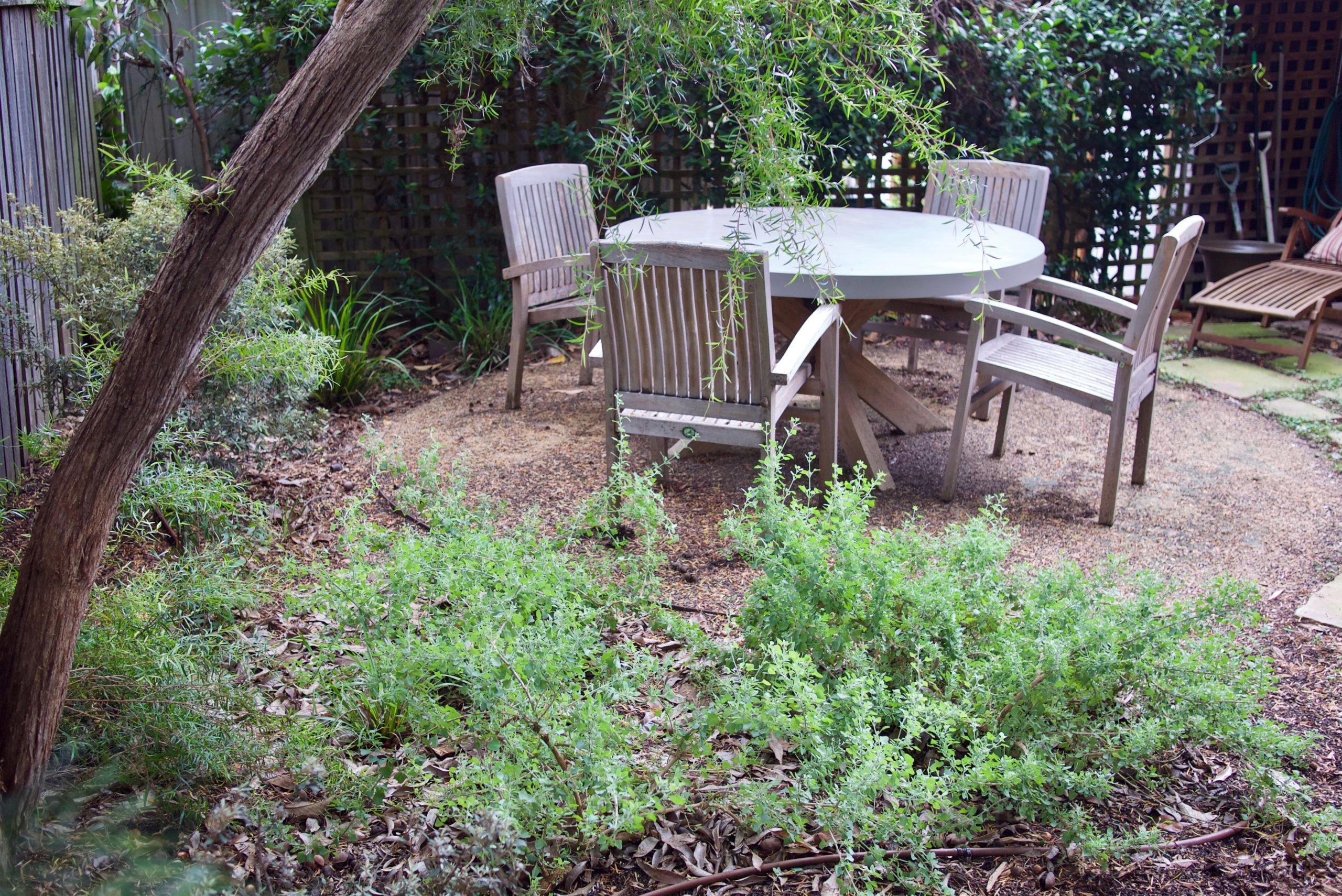 Portfolio: Summer Hill Garden Design