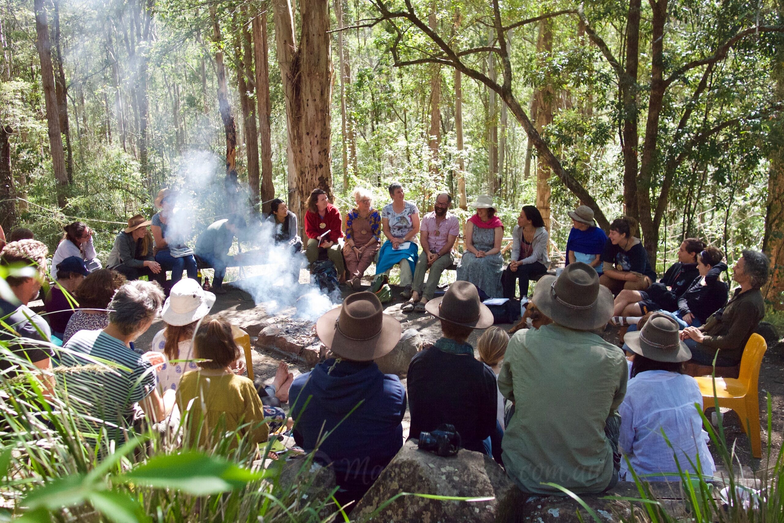 Back from a Bird Language Retreat