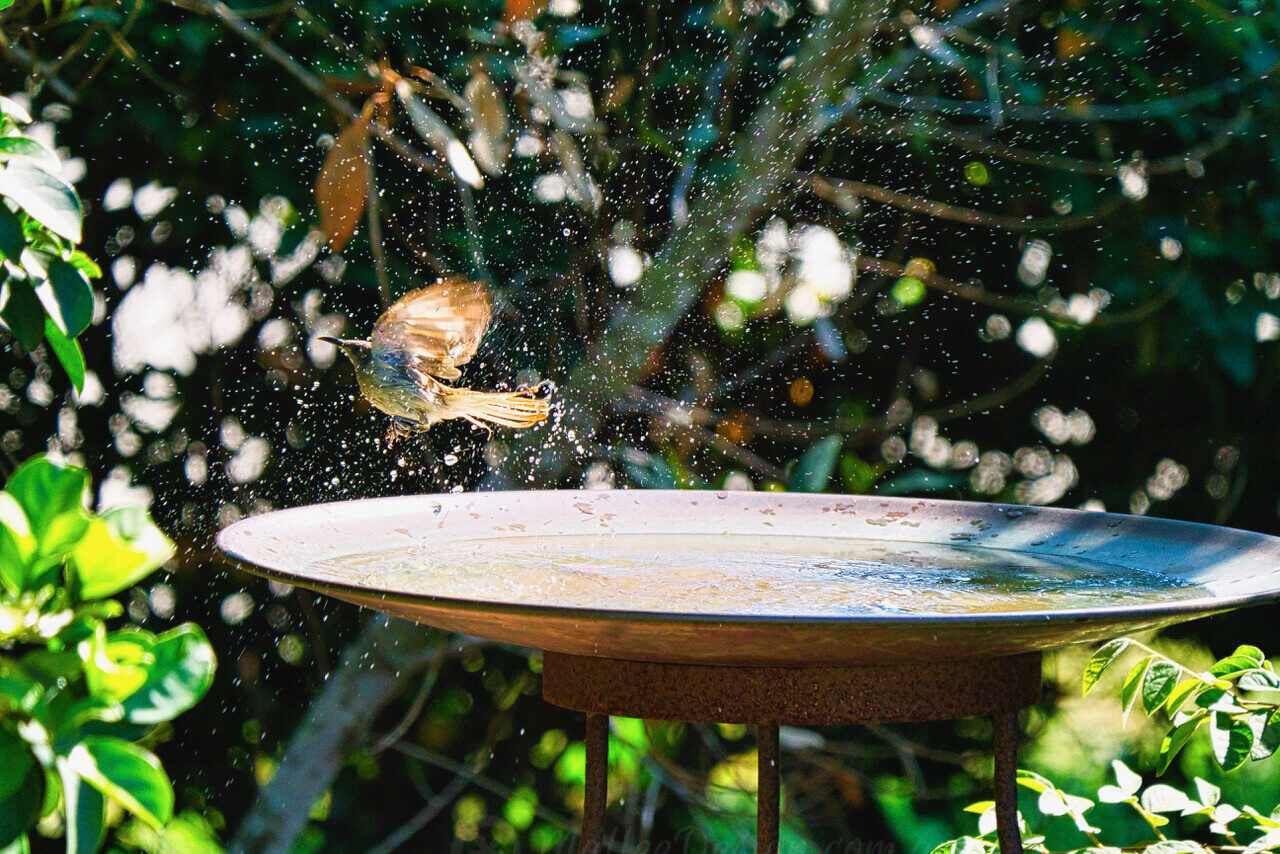 Photo Competition Entries and Winner!