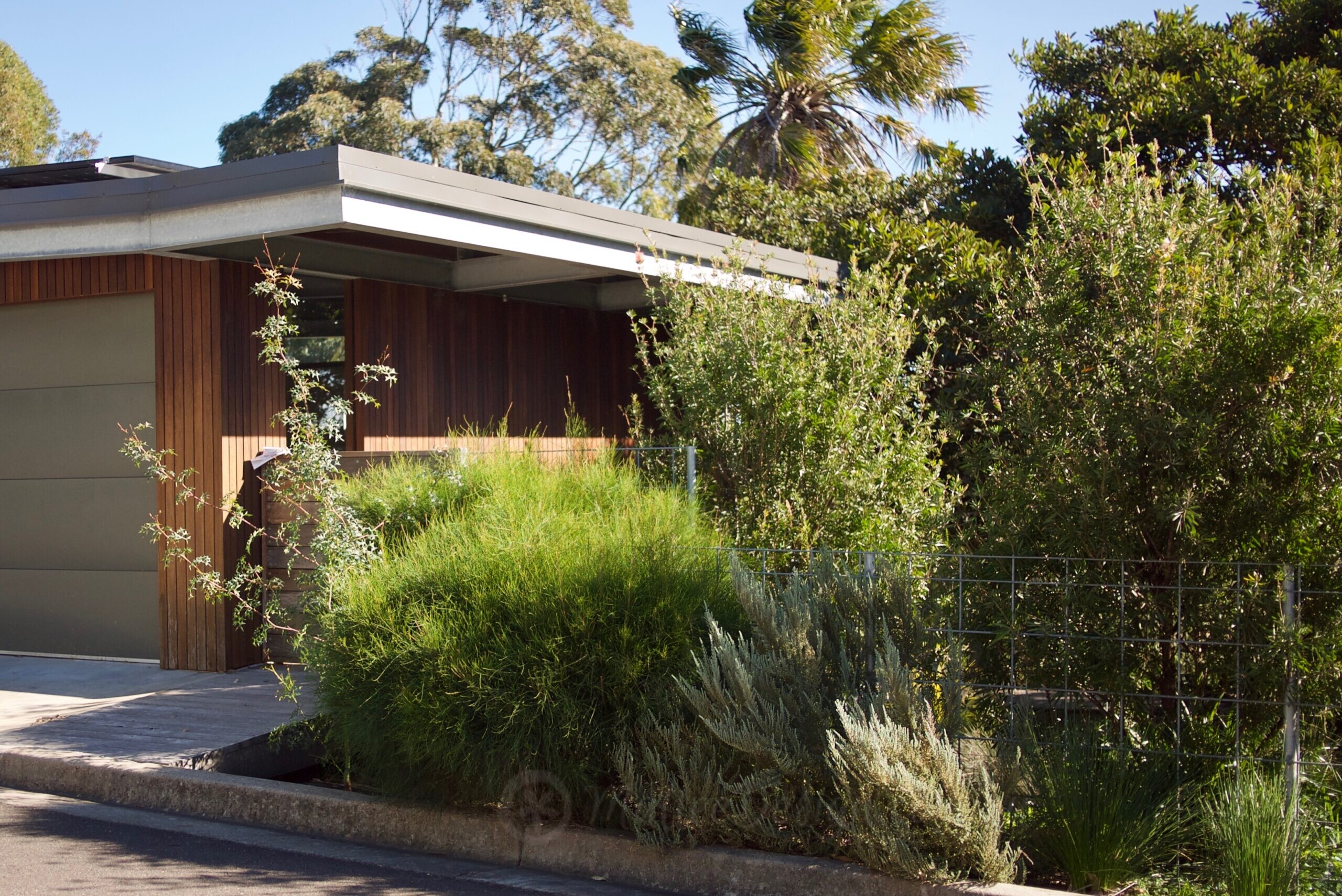 Portfolio: Bundeena Tree House