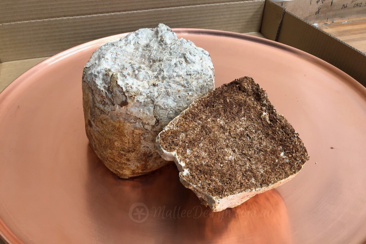 Search for Sustainable Packaging Solutions