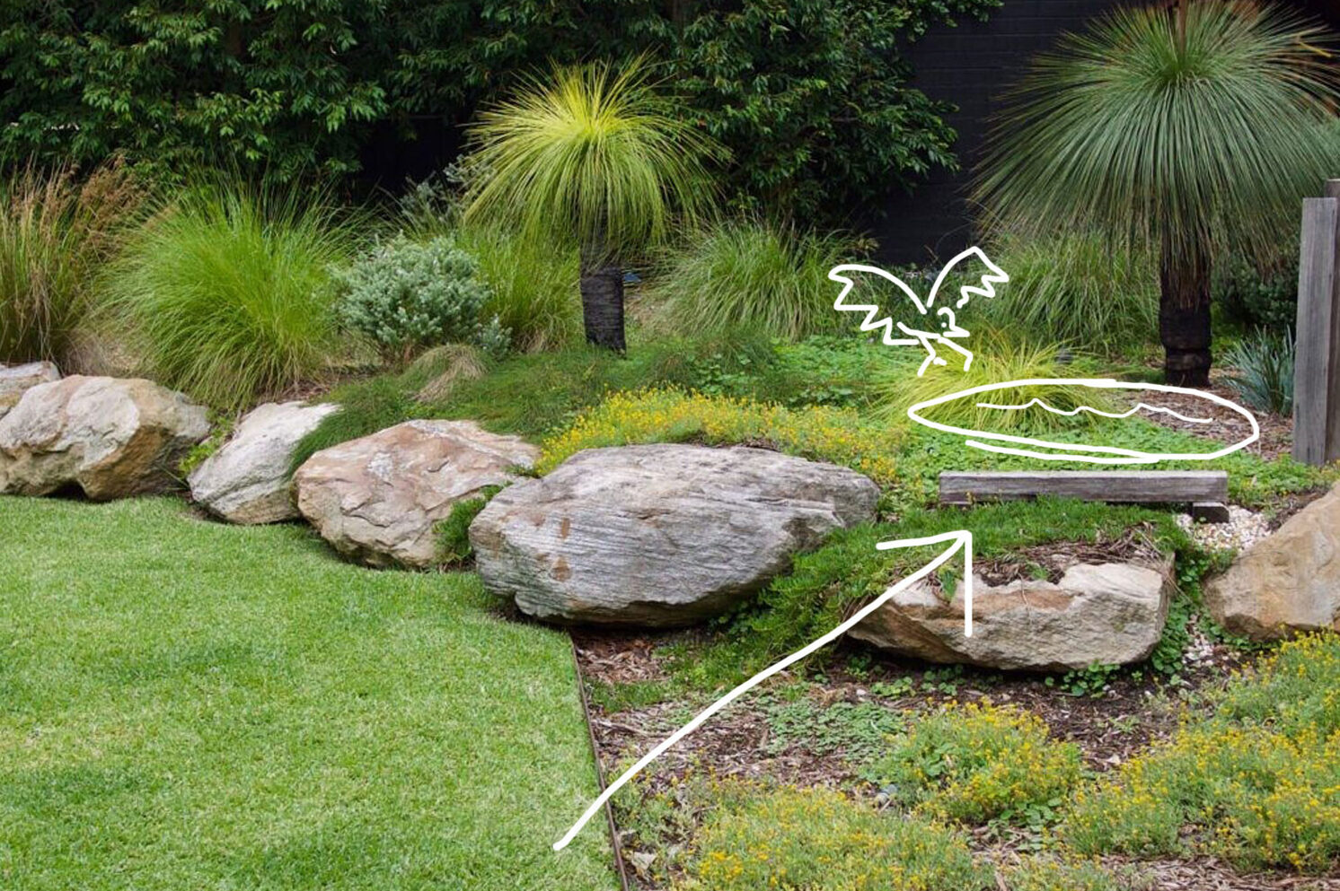 Garden Photo Competition – Win a Medium Dish!