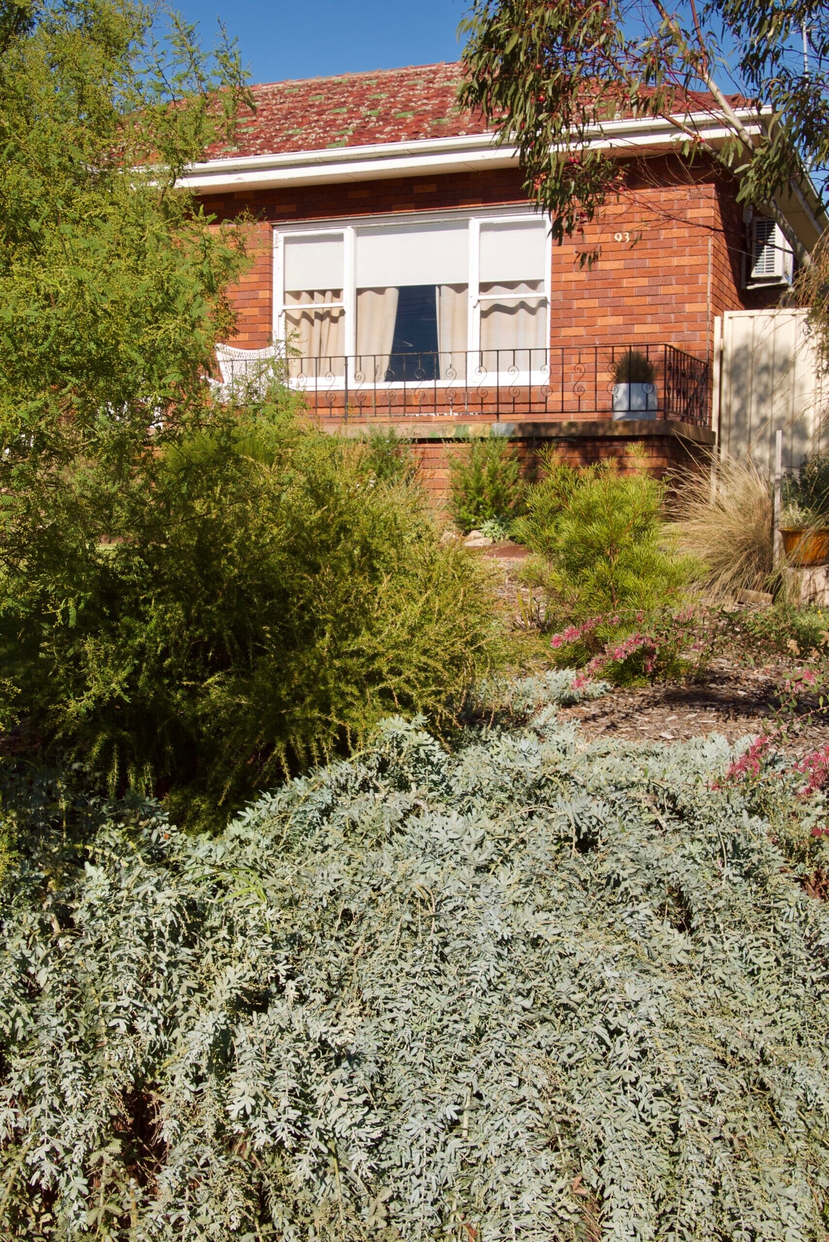 Portfolio: Gardening in Wind