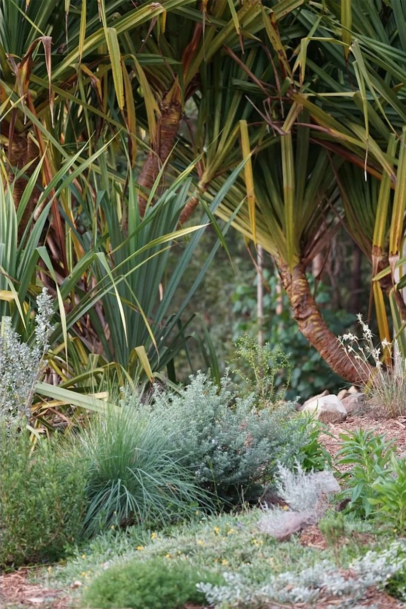 Instagram #INeedABirdbathHere Winner and Entries!